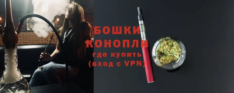 кракен ССЫЛКА  Нововоронеж  Шишки марихуана гибрид  как найти закладки 